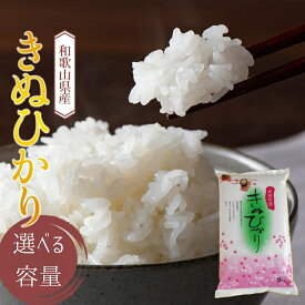 【ふるさと納税】 和歌山県産 キヌヒカリ 選べる容量 (2025年産) 5kg 10kg 産地直送 ※9月中旬より順次発送予定 / 米 こめ ご飯 ごはん 白米 弁当 精米 和歌山 国産 厳選