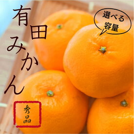 【ふるさと納税】紀州有田みかん 秀品 選べる容量 サイズおまかせ(L・М・S) 2025年11月下旬～2026年1月中旬ごろに順次発送予定 / ミカン 柑橘 みかん 有田みかん 和歌山