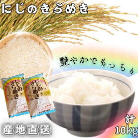 【ふるさと納税】米 にじのきらめき 和歌山県産 10kg（5kg×2）（2023年産） 産地直送 / 米 こめ ご飯 ごはん