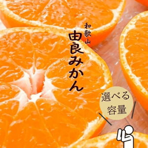 yӂ邳Ɣ[Łza̎RRǂ݂ Gi Iׂe TCY܂(LEMES) ꂩ͂ / TCY ~J k ݂ a̎R