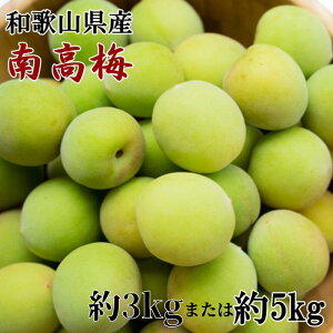 yӂ邳Ɣ[ŁzyIׂeʁzya̎RYz썂~ 3kg ܂ 5kgiTCYj 2026N6{`2026N6{ɏ / 썂~ ~ ~ n ~ a̎R IB ~ ~W