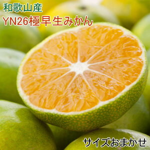 yӂ邳Ɣ[ŁzyYzYN26ɑ݂5kgi2S`MTCY܂j2025N9{`2025N11{菇\i͂wsj