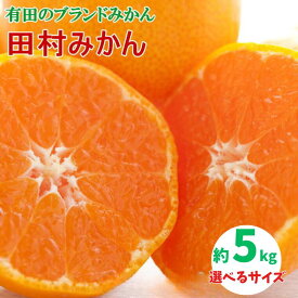 【ふるさと納税】【ブランドみかん】田村みかん約5kg 選べるサイズ【2025年11月下旬～2025年12月下旬頃より順次発送】 / みかん 果物 フルーツ 柑橘 オレンジ 和歌山 有田 有田みかん