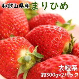 yӂ邳Ɣ[Łz  a̎RYuhu܂Ђ߁v嗱n300g×2pbN 2025N12{`2026N2{i͂wsjC`S  ܂Ђ a̎R IW