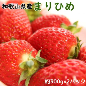 yӂ邳Ɣ[Łz  a̎RYuhu܂Ђ߁v300g×2pbN 2026N1{`2026N2{i͂wsjC`S  ܂Ђ a̎R IWi 