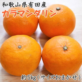 【ふるさと納税】【春みかん】和歌山有田産カラマンダリン約5kg(サイズおまかせ)※2026年4月上旬～2026年5月中旬頃に順次発送