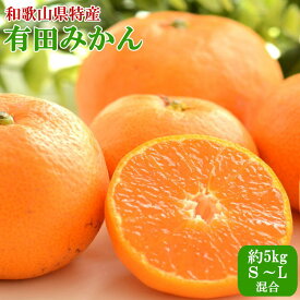 【ふるさと納税】[秀品]和歌山有田みかん約5kg（S～Lサイズ混合）※2025年11月中旬頃から順次発送 / みかん 果物 フルーツ 柑橘 オレンジ 和歌山 ミカン かんきつ 有田みかん 有田
