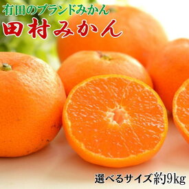 【ふるさと納税】 みかん 【ブランドみかん】田村みかん 約9kg 【選べるサイズ】 2Lサイズ 3Lサイズ【2026年11月下旬～2026年12月下旬頃より順次発送】 / 果物 フルーツ 柑橘 オレンジ 和歌山 有田 有田みかん