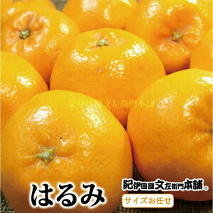 yӂ邳Ɣ[Łz͂ yIׂeʁz3kg 4kg /TCY܂@2026N1{`2026N3{ɏ\(͂ws)@Iɍq{ / ݂   t