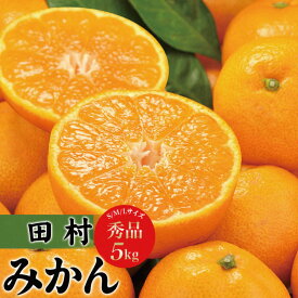 【ふるさと納税】【先行予約】田村みかん　秀品5キロ　サイズおまかせ/紀伊国屋文左衛門本舗　◆2025年11月下旬〜2026年1月中旬頃に発送(お届け日指定不可) / みかん 蜜柑 くだもの フルーツ 果物 柑橘 先行予約