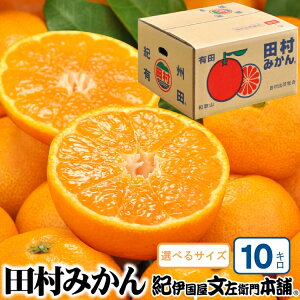 �y�ӂ邳�Ɣ[�Łz�y�\���t�z�c���݂��� ���I�M�t�g�i 10kg�y�I�ׂ�T�C�Y�z�ԏG/�I�B�a�̎R�L�c�S���󒬓c���n��Y ��2025�N11�����{�`2026�N1�����{���ɔ���(���͂����w��s��)�@�I�ɍ���