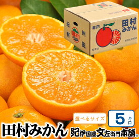 【ふるさと納税】【予約受付】田村みかん 5kg 秀品【選べるサイズ】/紀州和歌山有田郡湯浅町田村地区産 ◆2025年11月下旬〜2026年1月中旬頃に発送(お届け日指定不可)　紀伊国屋文左衛門本舗 / みかん 蜜柑 くだもの フルーツ 果物 柑橘 先行予約