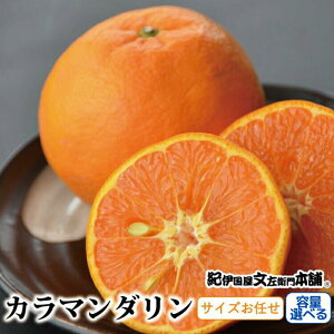yӂ邳Ɣ[ŁzJ}_ yIׂeʁz / TCY܂@2026N4{`2026N5{ɏ\(͂ws)@Iɍq{