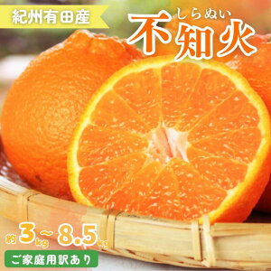 yӂ邳Ɣ[Łzyƒp󂠂zIBLcYsm(ʂ) 3kg / 6kg /8.5kg y\z2026N2{`2026N3{ɏ\(͂ws) / sm ݂ k 