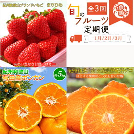 【ふるさと納税】【発送月固定定期便】紀州和歌山産旬のフルーツセット(いちご2P・ポンカン・紀州デコ約3kg)全3回 / 果物 くだもの フルーツ フルーツ定期便 和歌山