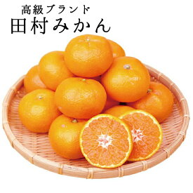 【ふるさと納税】 高級ブランド田村みかん【選べる容量】【先行予約】※2026年11月下旬頃〜2027年1月下旬頃に順次発送予定(お届け日指定不可) / 先行予約 みかん 有田 濃厚 完熟 田村