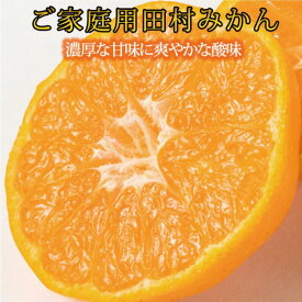 【ふるさと納税】 【ご家庭用訳あり】田村みかん【選べる容量】 ※2026年11月下旬頃〜2027年1月下旬頃に順次発送予定(お届け日指定不可) / みかん フルーツ 果物 くだもの