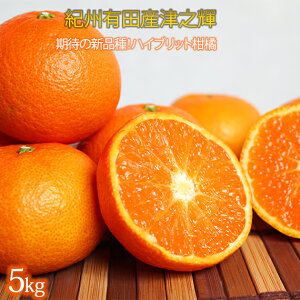 【ふるさと納税】津之輝(つのかがやき) 5kg【予約】※2026年2月上旬〜2月下旬頃に順次発送予定(お届け日指定不可) / みかん 果物 フルーツ 柑橘 蜜柑