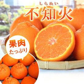 【ふるさと納税】果肉プリプリ♪　完熟紀州デコ(不知火) 【選べる容量】【先行予約】 ＜2026年2月中旬頃〜2026年3月中旬頃に順次発送＞ （お届け日指定不可） / 不知火 みかん 柑橘類 先行予約 人気