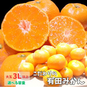 yӂ邳Ɣ[Łz N Lc݂ 12000~ 15000~ 7.5kg 10kg  3LȏyIׂeʁzL@엿100%y2025N12ɔ(͂ws)z/ 󂠂 ƒp p 󂠂݂ L