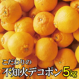 【ふるさと納税】＼農家直送／こだわりのデコポン不知火 約5kg 有機質肥料100%　※2026年2月中旬より順次発送予定（お届け日指定不可）/ デコポン 不知火 みかん 有田みかん