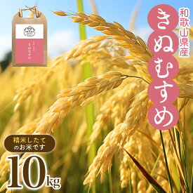 【ふるさと納税】 お米 きぬむすめ 10kg (2023年和歌山県産) 産地直送 / 米 こめ ご飯 ごはん 白米 国産 和歌山県産