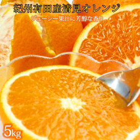 楽天市場 清見 オレンジ 旬の通販