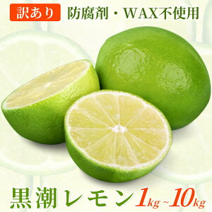 yӂ邳Ɣ[Łz킯  yIׂeʁz 1kg 2.5kg 5kg 7.5kg 10kgya̎RLcYzyh܁EWAXsgpAS̍Yzy킯E󂠂背z kCEEւ̔z
