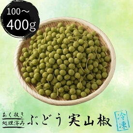 【ふるさと納税】 あく抜き処理済 冷凍 実山椒 100g ～ 400g 和歌山県産 / 山椒 さんしょう 香辛料 調味料 薬味 冷凍 和歌山県 紀美野町 料亭