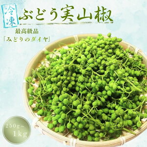 yӂ邳Ɣ[Łz R ⓀԂǂR yIׂeʁz 250g 1kg / 񂵂傤 h   Ⓚ ԂǂR R a̎R I쒬 R
