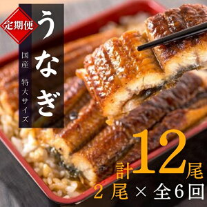 yӂ邳Ɣ[Łzy6ցz^TCY ӂ_炩 YȂĂ 2×6Ał͂ v12 2040g ^ Ȃ EiM V Y  Ă  lC  ӂ邳Ɣ[ 6