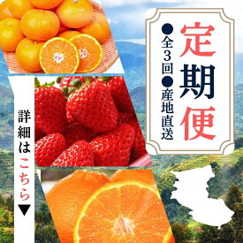 【ふるさと納税】【【定期便】●全3回● 産地直送 定期便【温州みかん・まりひめ・紀州デコ】 / フルーツ 果物 みかん いちご 旬 定期便