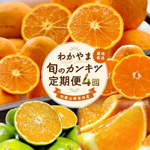 yӂ邳Ɣ[Łz yƒp 󂠂z킩܏{̃JLcցyMz S4 y3E5E9E11zyMS96z | t[c ʕ  Hi lC  