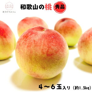 【ふるさと納税】和歌山のこだわり桃 4〜6玉(約1.5kg) 【数量限定・和歌山ブランド・厳選】【発送時期:2026年7月上旬〜7月下旬頃に発送】