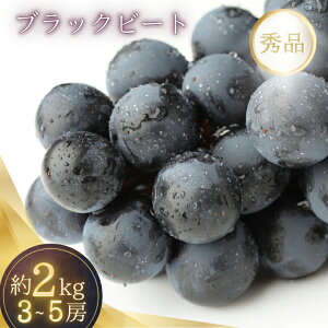 yӂ邳Ɣ[Łz 2kgi3~5[j햳 ubNr[giuhEEԂǂjy2026N7{`i萔ʁjz