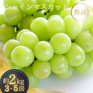 yӂ邳Ɣ[Łz VC}XJbg Ղ 2kg  y2026N8{`9{z | Ԃǂ }XJbg t[c ʕ  Hi lC  