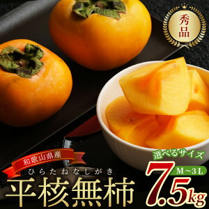yӂ邳Ɣ[Łz ˂Ȃ ` Gi 7.5kg (IׂTCY M ` 3L y48 ` 28z) y2025N10{`10{\z | ̂Ȃ Ea  `ij`jt[c ʕ  Hi l