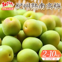 楽天市場】青梅 南高梅 4lの通販