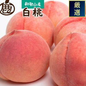 【ふるさと納税】 和歌山の厳選 白桃 約0.75kg / 約1kg / 約1.5kg / 約2kg / 約4kg 化粧箱入り【7月上旬〜7月下旬頃 順次発送】 白鳳 清水白桃 川中島 | もも フルーツ 果物 くだもの 食品 人気 おすすめ 送料無料