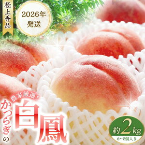 yӂ邳Ɣ[Łz  P 2kg 6`8 Giy2026N6菇z ̉lI _ƌI   ʕ  t[c s\ lC a̎R̓  蕨 v[