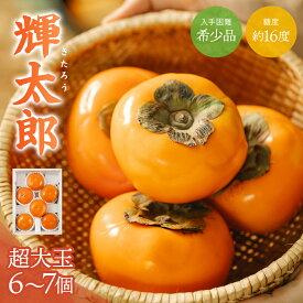 【ふるさと納税】 希少な柿【輝太郎】大玉6個〜7個 コクのある甘さ！こだわり農家厳選【2026年9月末～10月末頃に順次発送予定】【KG24】 | 柿 かき フルーツ 果物 くだもの 食品 人気 おすすめ 送料無料 産地直送