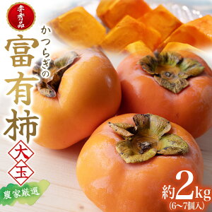 yӂ邳Ɣ[Łz xL` ԏGi6`7 _ƌIy2025N1012z / ` t[c ʕ  a̎R 炬 _ƒ  yKG30z