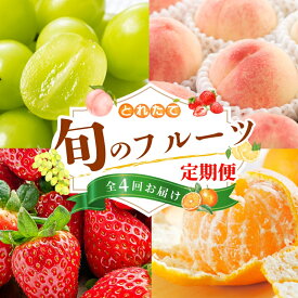 【ふるさと納税】 【フルーツ定期便・全4回】品質に自信あり！くしがきの里から直送　桃・シャインマスカット・はれひめ・まりひめを季節ごとにお届け♪ / 定期便 桃 もも みかん 柑橘 シャインマスカット マスカット いちご イチゴ 苺 果物 フルーツ 4回