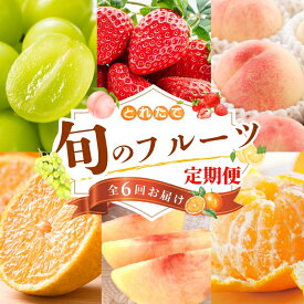 【ふるさと納税】 【フルーツ定期便・全6回】品質に自信あり！くしがきの里から直送　厳選した果物を最高のタイミングでお届け♪ / 定期便 桃 もも みかん 柑橘 シャインマスカット マスカット いちご 不知火 はれひめ イチゴ 苺 果物 フルーツ 6回