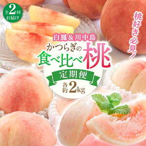 yӂ邳Ɣ[Łz DKI炬̎̓ P쒆 Hה׃Zbg e2kg `S2񂨓͂`/ a̎R 炬    ʕ t[c 2