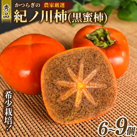 【ふるさと納税】 先行予約！ 紀の川柿 （果実の中身が黒い！黒蜜柿）希少栽培！ 秀品6個～9個 こだわり農家厳選！【※2026年10月上旬から11月上旬頃発送】/ 和歌山県 かつらぎ町 カキ 柿 太秋柿 紀ノ川柿 富有柿 早秋柿 秀品 紀の川柿 かき フルーツ 旬 秋【BK-kgr044】