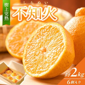 yӂ邳Ɣ[Łz yz sm ㊮n 2kg (6) y2026N2{甭z sm ʂ ʕ  k t[c s\ ʌ  lC a̎R 炬