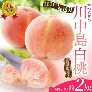 yӂ邳Ɣ[Łz ys\z  쒆 2kg 6`8 Gi y2026N7珇z_ƌI   ʕ  t[c s\  lC a̎R̓ 