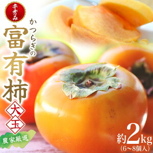 yӂ邳Ɣ[Łz s\ xL` ԏGi  6`8 _ƌIy2026N1011ɏ\zyKG25z | `  t[c ʕ  Hi lC  