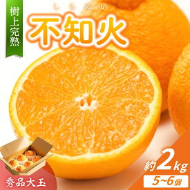 【ふるさと納税】 不知火 希少な樹上完熟！ 秀品大玉 6個入 (約2kg)　【2027年2月下旬頃～3月下旬頃まで発送】【KT2】